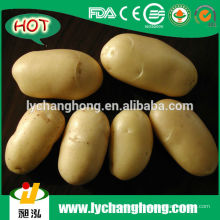 2014 Nuevo Proveedor De Patata Fresca De Cultivos De China